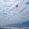 In the Breeze 3299 - Cherry 30 Inch Diamond Kite - Solid Red, Fun, Easy Flying Kite
